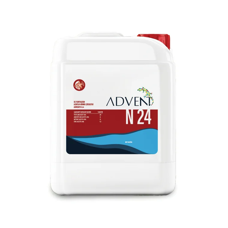 ADVENT N 24