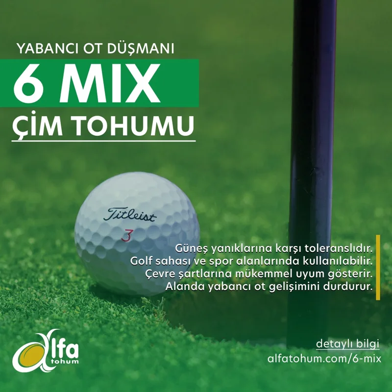 6 Mix — üreticinin çeşit tanıtım görseli