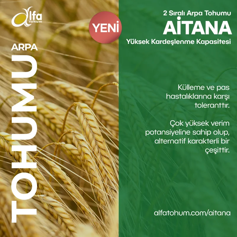 Aitana — üreticinin çeşit tanıtım görseli