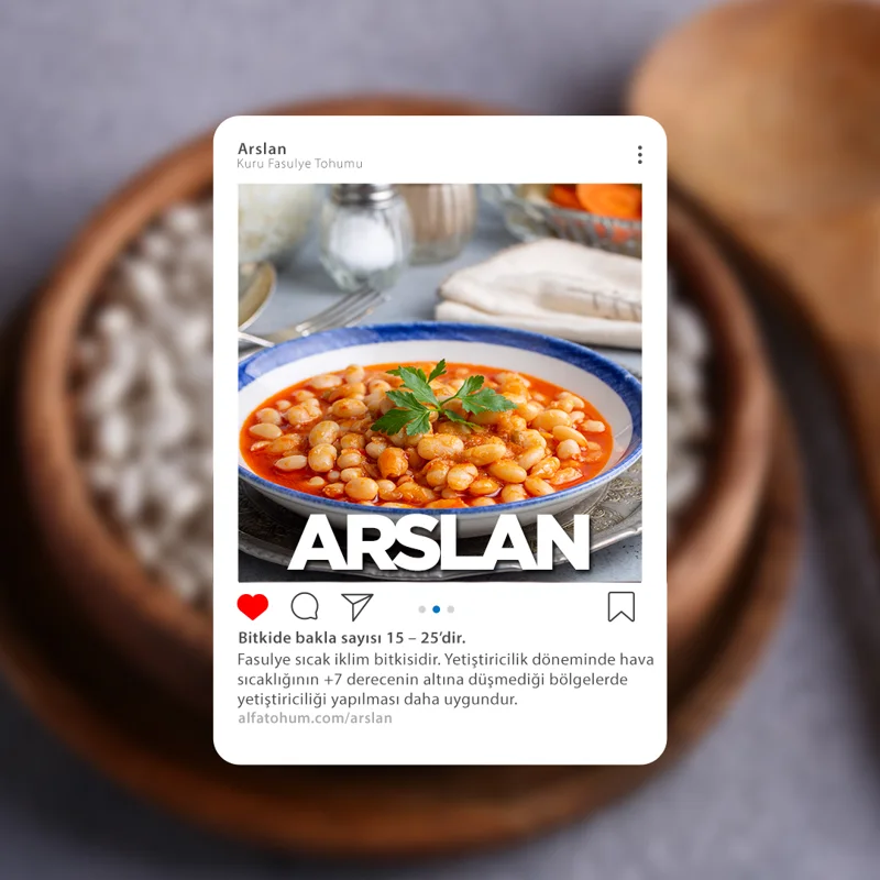Arslan — üreticinin çeşit tanıtım görseli