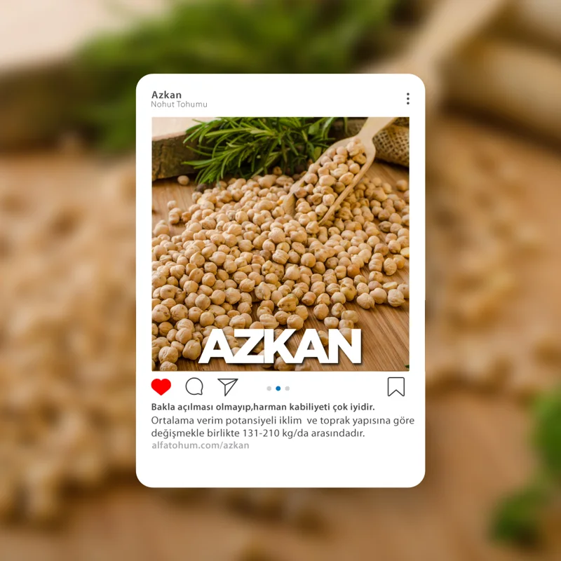 Azkan — üreticinin çeşit tanıtım görseli