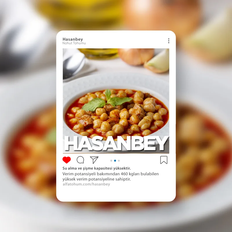 Hasanbey — üreticinin çeşit tanıtım görseli