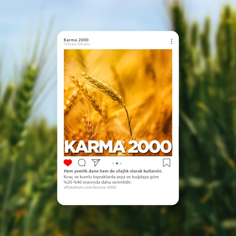 Karma 2000 — üreticinin çeşit tanıtım görseli