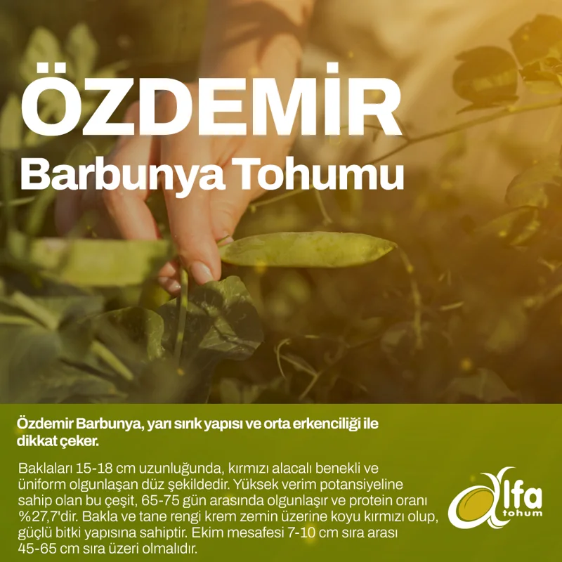 Özdemir — üreticinin çeşit tanıtım görseli