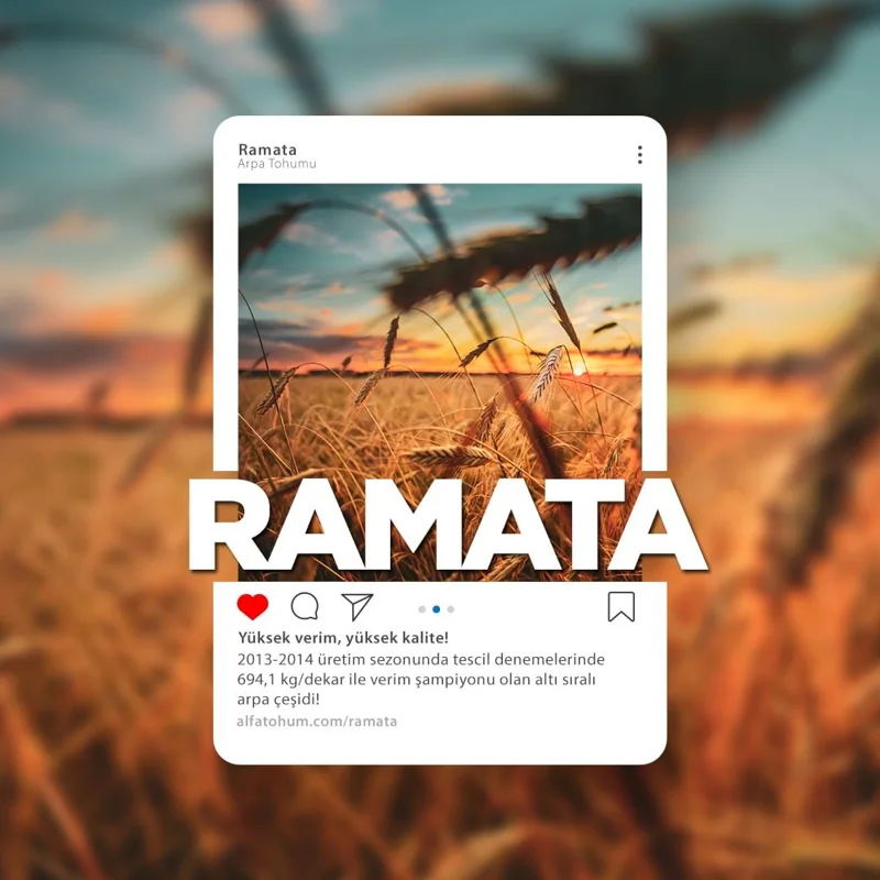 Ramata — üreticinin çeşit tanıtım görseli