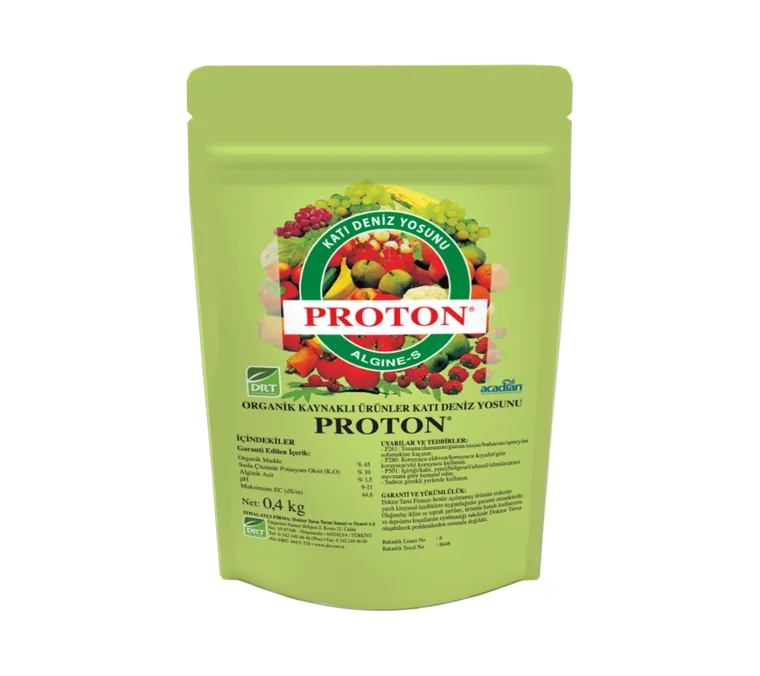 Proton