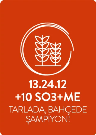 13-24-12+ 10(SO3) +ME