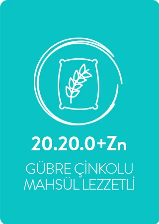 20.20.0+ ZN