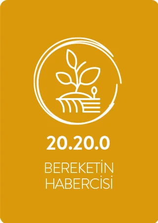 20.20.0