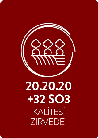 20.20.20+32(SO3)