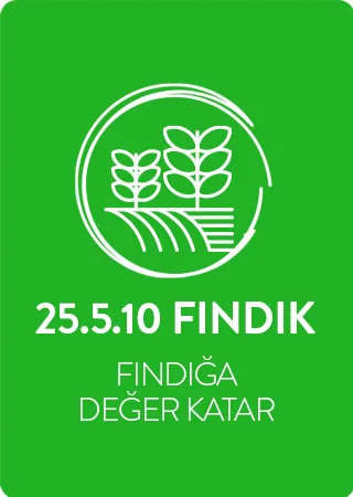 25.5.10 FINDIK