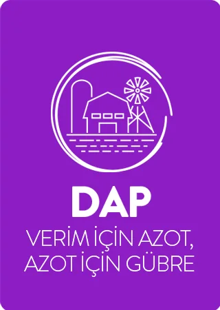 DAP