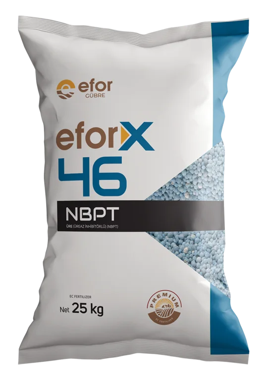 efor X 46 NBPT