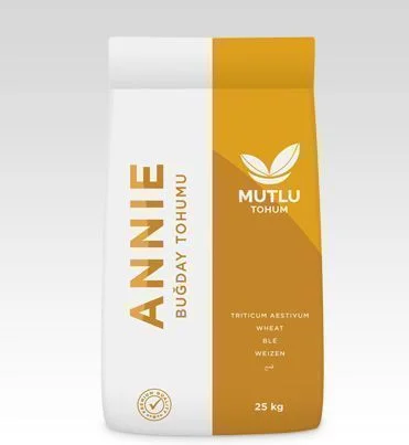 Buğday Tohumu - Annie — üreticinin ürün görseli